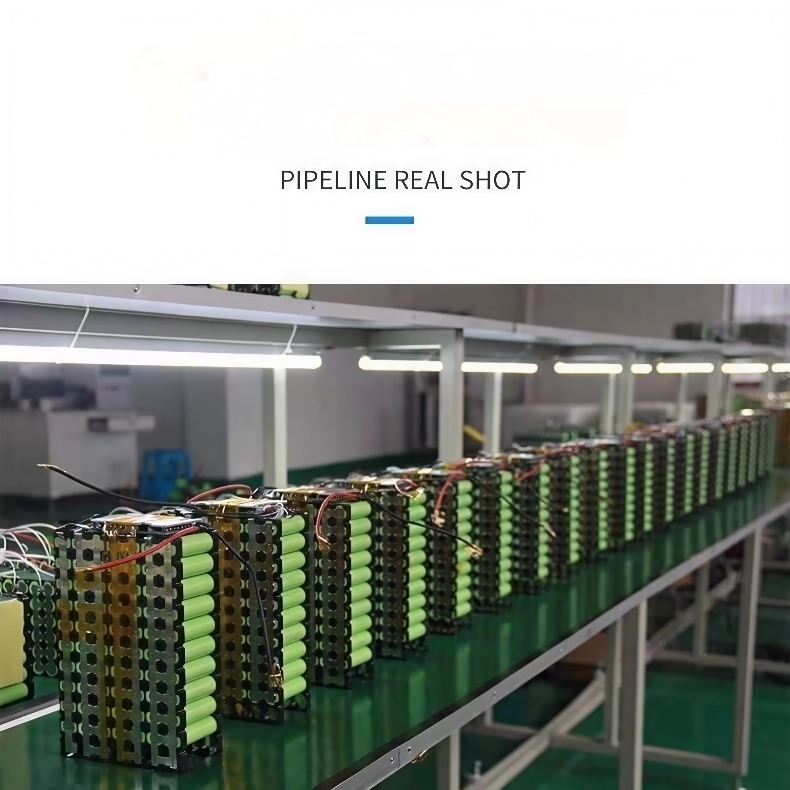 2026 electric bicycle 20A-40A brand new factory direct sales with handle lithium battery
